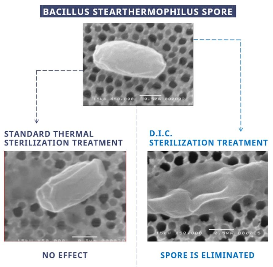 Comparison of bacterial sterilisation with D.I.C. and standard heat treatment