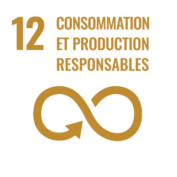 Consommation et production responsables