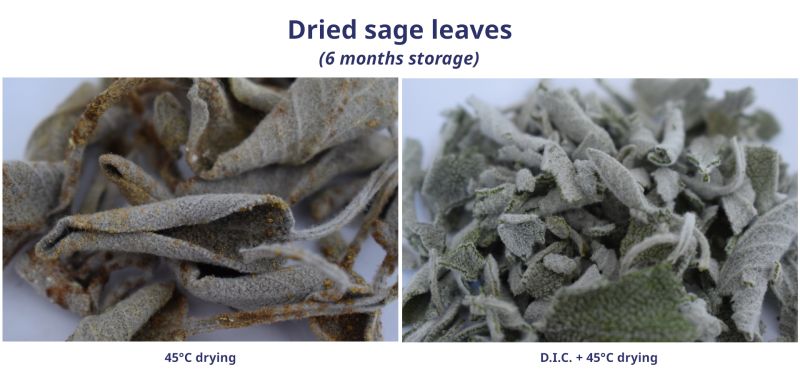 Dried sage leaves with differents methods