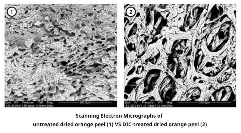 D.I.C. process on dry matter