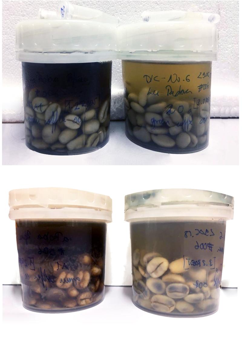 Deactivate enzymatic oxidation