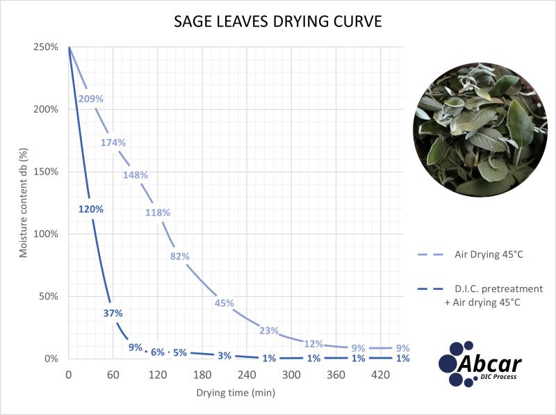 Sage leaves drying curve graph